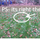 Illustration for article titled Septic tank lid in my yard will have hell toupeeem/em